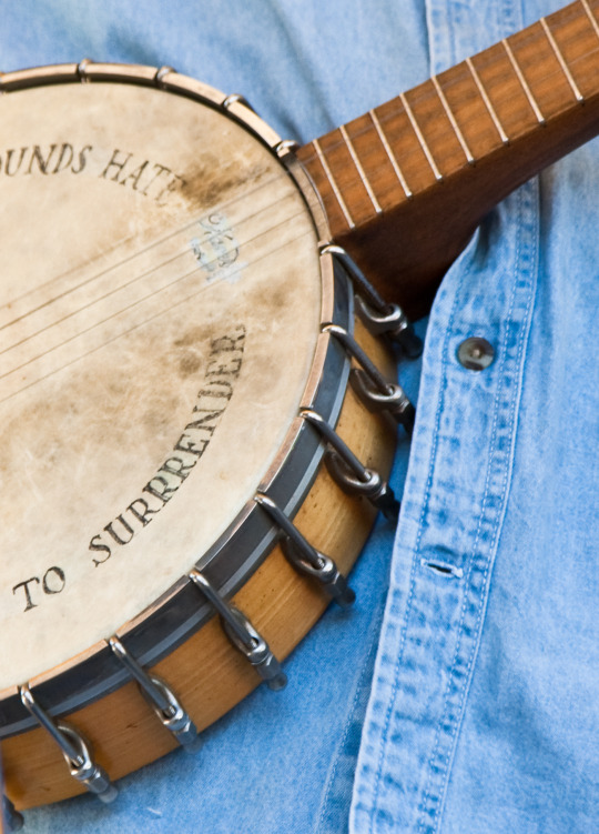 banjo detail.jpg